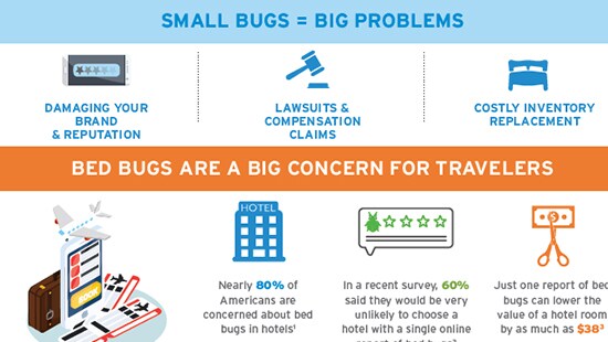 Bettwanzen – Infografik