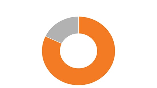 Donut Chart