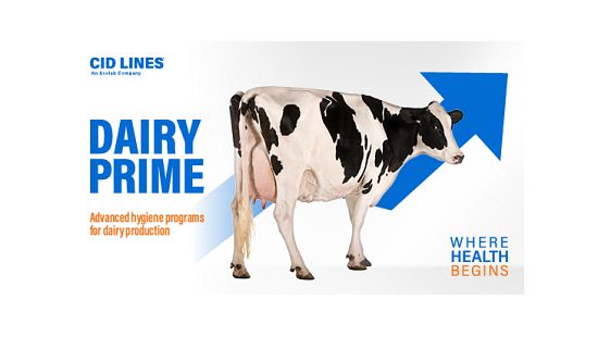 A dairy farm setting showing a person standing beside a cow inside a barn, highlighting hands-on cattle care and animal management.
