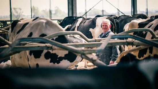 Dairy farmer in a milking parlor, smiling at the camera