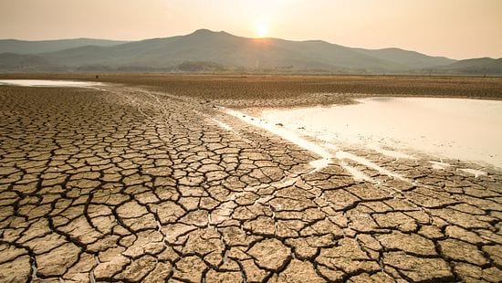  Dry cracking landscape